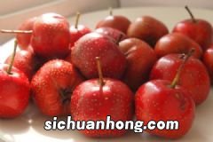 车厘子和樱桃是一样的吗?车厘子为什么比常见樱桃贵那么多?