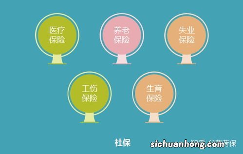 商业险包括哪些