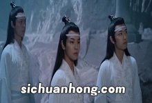 陈情令蓝思追饰演者 陈情令蓝思追是谁