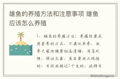 雄鱼的养殖方法和注意事项 雄鱼应该怎么养殖