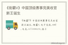 《街霸V》中国顶级赛事完美收官 新王诞生