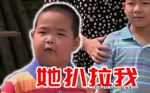 他扒拉我是什么梗