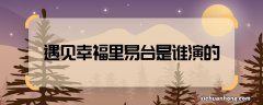 遇见幸福里易台是谁演的 遇见幸福易台的扮演者