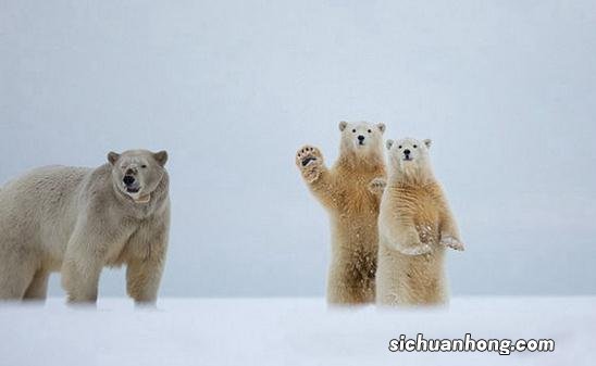 这些打招呼的方式揭秘你的心理