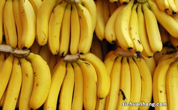 香蕉具有什么保健功效?吃香蕉能对健康带来什么好处?