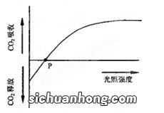 光合作用和呼吸作用的区别和联系