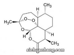 青蒿素是什么植物提取的