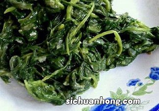 面条菜怎么包饺子好吃吗