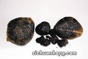 鸦片源于什么植物的什么
