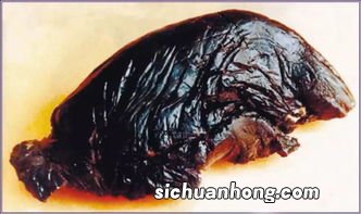鸦片源于什么植物的什么