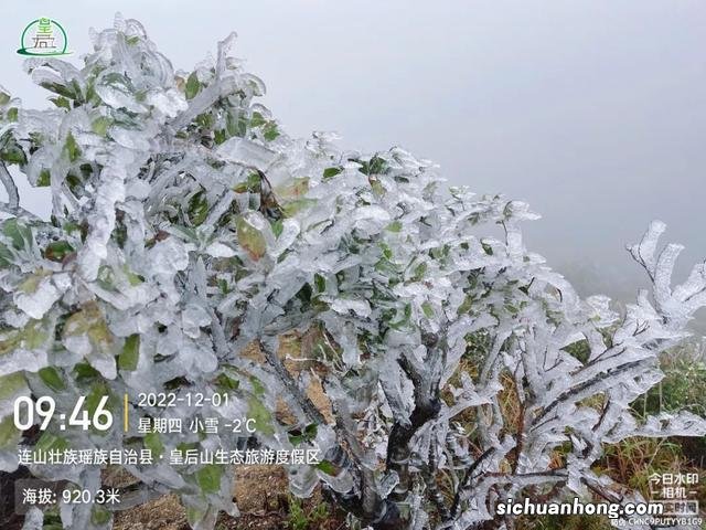 广州出发-清远2天游，连山皇后山赏雾凇冰挂