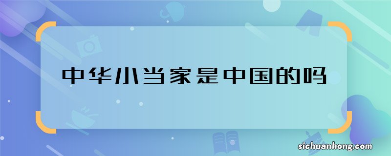 中华小当家是中国的吗 中华小当家是哪国的动画