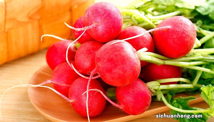 凤梨萝卜的种植方法和注意事项