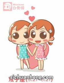 12星座谁会迷恋双子