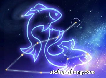 双鱼座爱上一个人的表现