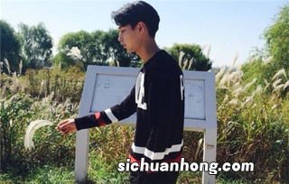 狮子男双子女谁吸引谁