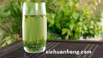 信阳毛尖茶叶怎么储存