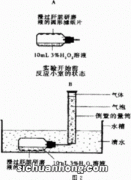 酶作为生物催化剂有哪些特点