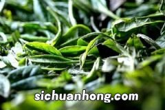 哪些食物的香味可以治病？苹果香味竟能抑制食欲？