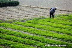 农村土地如何补偿