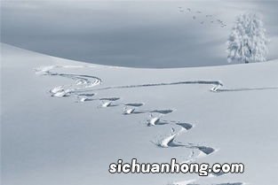 梦见地上有雪是什么意思