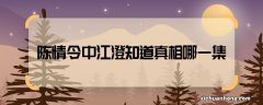 陈情令中江澄知道真相哪一集 陈情令说出剖丹真相第几集