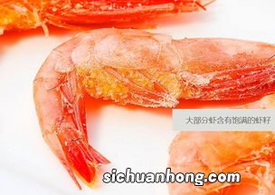 籽虾是什么虾