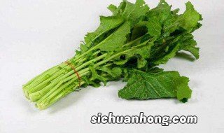 雪里蕻什么时候移栽 雪里蕻种植时间和方法