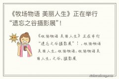 《牧场物语 美丽人生》正在举行“遗忘之谷摄影展”！