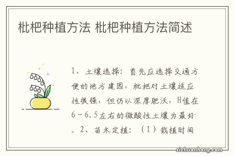 枇杷种植方法 枇杷种植方法简述