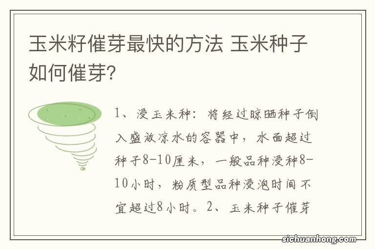 玉米籽催芽最快的方法 玉米种子如何催芽？