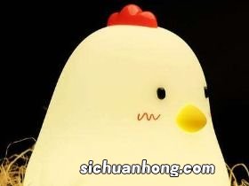 属鸡男和什么属相不合