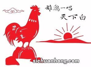 2017年鸡年是什么命