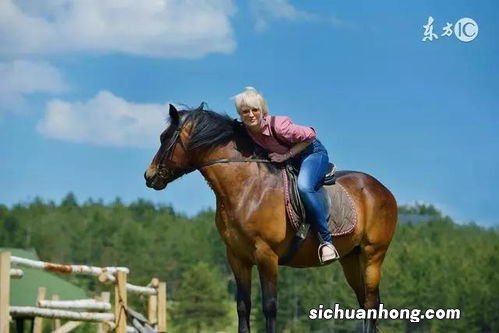 属鸡女和属马男婚配幸福吗