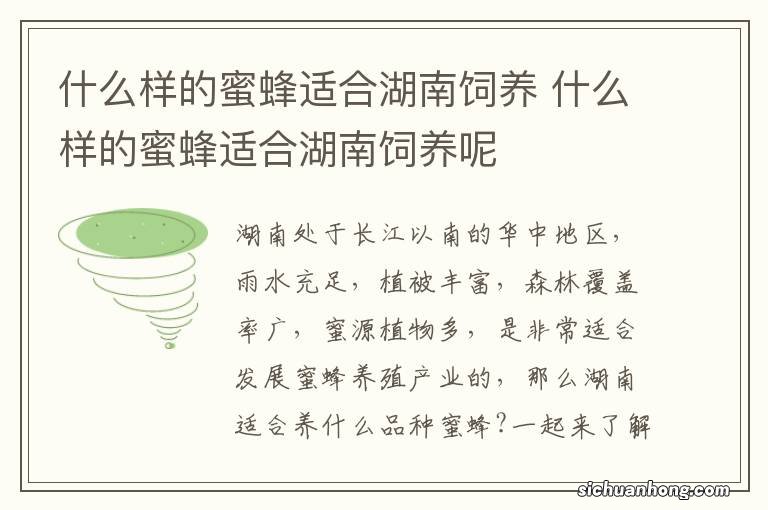 什么样的蜜蜂适合湖南饲养 什么样的蜜蜂适合湖南饲养呢