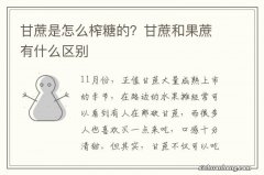 甘蔗是怎么榨糖的？甘蔗和果蔗有什么区别