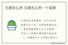 石螺怎么养 石螺怎么养一个星期