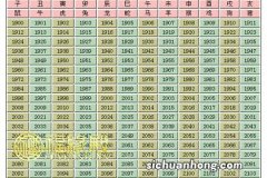 12生肖对应年份