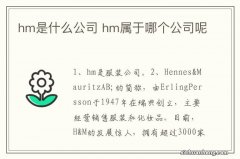 hm是什么公司 hm属于哪个公司呢