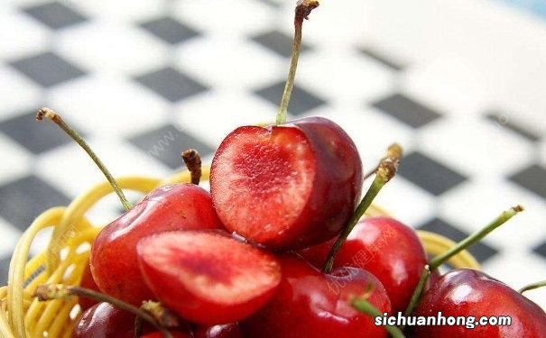 车厘子为什么那么贵?车厘子和樱桃有什么区别吗?