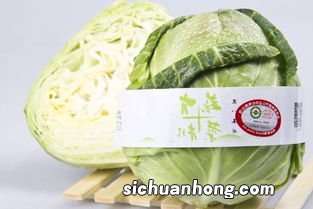 菜放冷冻可以放多久