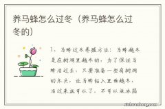 养马蜂怎么过冬的 养马蜂怎么过冬