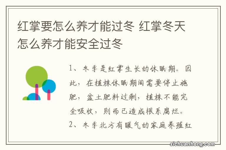 红掌要怎么养才能过冬 红掌冬天怎么养才能安全过冬