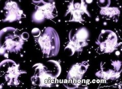 12星座谁最漂亮