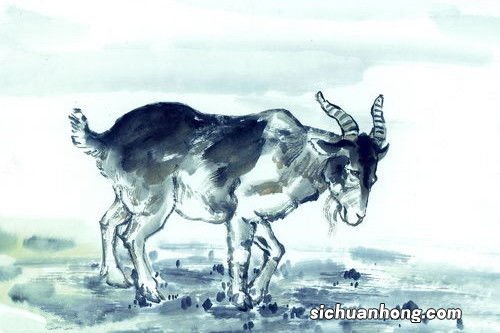 属羊的2019幸运色是什么