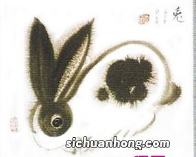 87年属什么多少岁