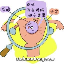 做完月子不能吃什么