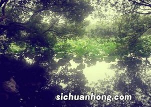 梦见别人骑马什么寓意