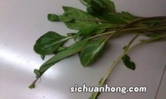 什么是植物营养