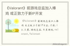 《Valorant》前游戏总监加入棒鸡 或正致力于新IP开发